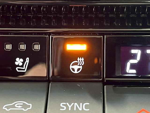 ランドクルーザー250 VX 12.3型メーカーナビ 全周囲 サンルーフ 追従クルーズコントロール ブラインドスポットモニター デジタルインナーミラー シートヒーター ベンチレーション ステアリングヒーター 電動リアゲート ETC(32枚目)