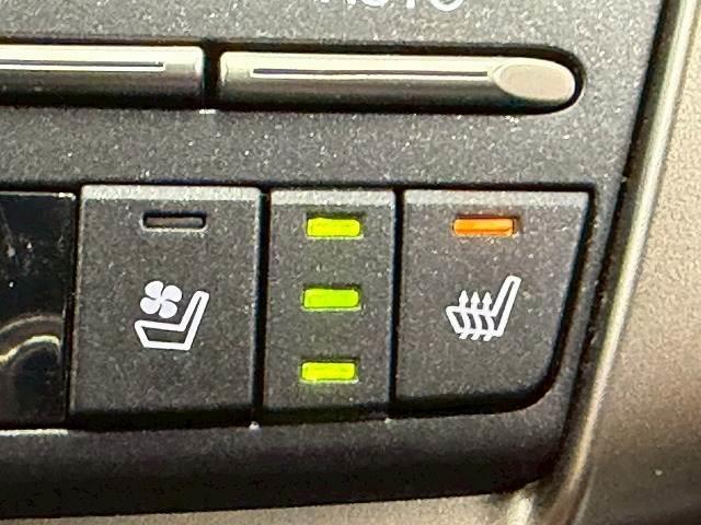 ＮＸ ＮＸ３００　Ｆスポーツ　１０．３型ナビＴＶ　追従クルコン　赤レザー　電動シート　シートヒーター　シートベンチレーション　ステアリングヒーター　ＥＴＣ　電動リアゲート　ＡＴハイビーム　ＬＥＤ　ＣＤＤＶＤ　ミュージックサーバー（8枚目）