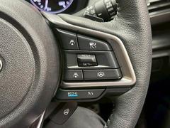 �����ޤ������ݤ��줿����ƥꥢ�ϡ��������ʡ��ͤδ��������ä���ȹԤ��Ϥ��Ƥ���ڵ�Ǥ��� 7