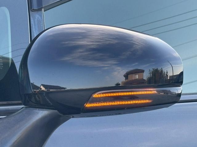 プリウスアルファ Ｓツーリングセレクション　禁煙車　デジタルインナーミラー　シーケンシャルウィンカー　クルーズコントロール　フルセグ　ＨＤＭＩ　バックカメラ　Ｂｌｕｅｔｏｏｔｈ　ＣＤ・ＤＶＤ　ＥＴＣ　プッシュスタート　ステアリングリモコン（53枚目）