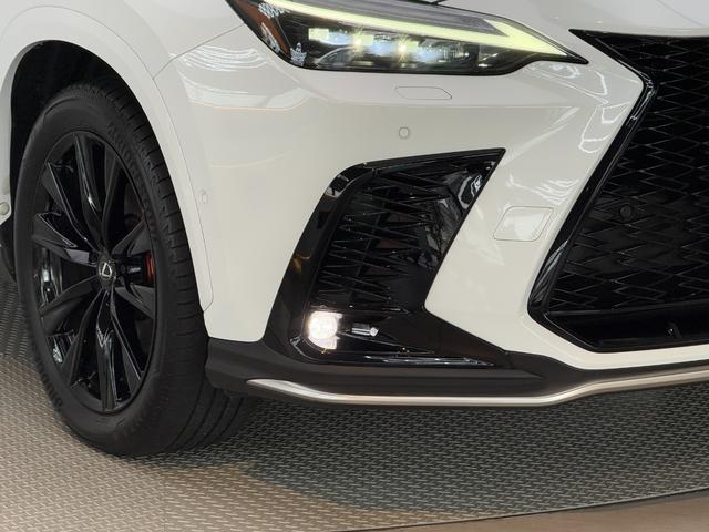 NX NX350h Fスポーツ 【内装レッド&ハイブリッド車】 14型コネクトナビ パノラマルーフ デジタルインナーミラー オレンジキャリパー パノラミックビューモニター ブラインドスポットモニター パワーバックドア 純正20AW(20枚目)