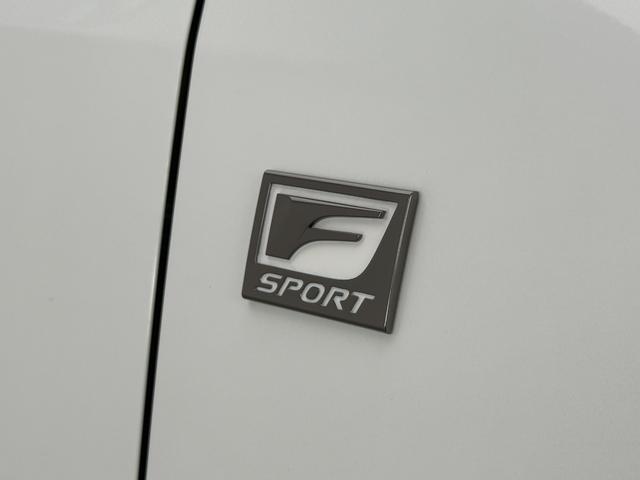 NX NX350h Fスポーツ 【内装レッド&ハイブリッド車】 14型コネクトナビ パノラマルーフ デジタルインナーミラー オレンジキャリパー パノラミックビューモニター ブラインドスポットモニター パワーバックドア 純正20AW(22枚目)