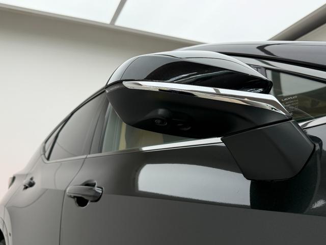 NX NX350h Fスポーツ 【内装ヘーゼル&ハイブリッド車】 14インチコネクトナビ パノラマルーフ デジタルインナーミラー オレンジキャリパー 寒冷地仕様 パノラミックビューモニター ブラインドスポットモニター 純正20AW(22枚目)