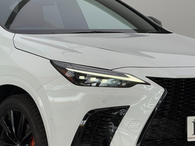 NX NX350h Fスポーツ 【内装レッド&ハイブリッド車】 14型コネクトナビ パノラマルーフ デジタルインナーミラー オレンジキャリパー ドライブレコーダー パノラミックビューモニター ブラインドスポットモニター 純正20AW(20枚目)