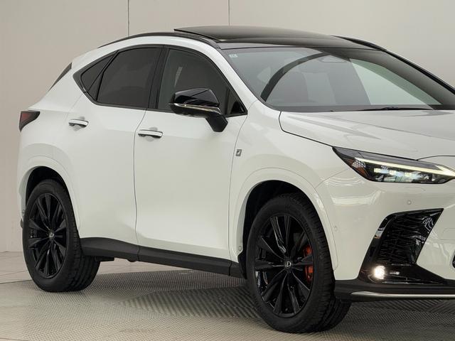 NX NX350h Fスポーツ 【内装レッド&ハイブリッド車】 14型コネクトナビ パノラマルーフ デジタルインナーミラー オレンジキャリパー パノラミックビューモニター ブラインドスポットモニター パワーバックドア 純正20AW(34枚目)