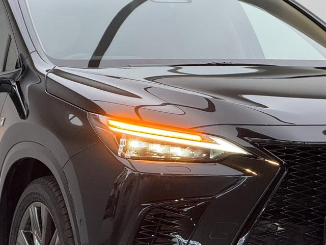 ＮＸ ＮＸ３５０ｈ　Ｆスポーツ　【内装ヘーゼル＆ハイブリッド車】　　１４インチコネクトナビ　パノラマルーフ　デジタルインナーミラー　オレンジキャリパー　寒冷地仕様　パノラミックビューモニター　ブラインドスポットモニター　純正２０ＡＷ（19枚目）