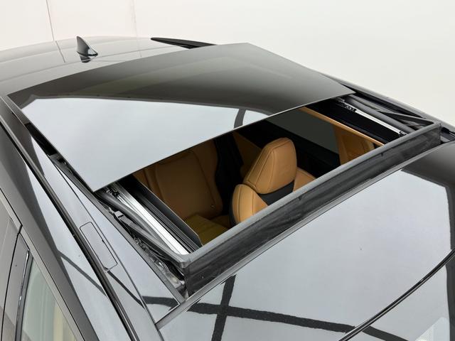 ＮＸ ＮＸ３５０ｈ　Ｆスポーツ　【内装ヘーゼル＆ハイブリッド車】　　１４インチコネクトナビ　パノラマルーフ　デジタルインナーミラー　オレンジキャリパー　寒冷地仕様　パノラミックビューモニター　ブラインドスポットモニター　純正２０ＡＷ（25枚目）