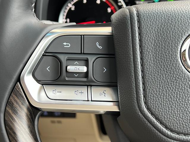 ランドクルーザー ＺＸ　【ディーゼル車】内装ベージュ　１２．３インチＪＢＬプレミアサウンド　サンルーフ　パノラミックビューモニター　寒冷地仕様　ブラインドスポットモニター　ＥＴＣ２．０　パワーバックドア　純正２０インチアルミ（48枚目）