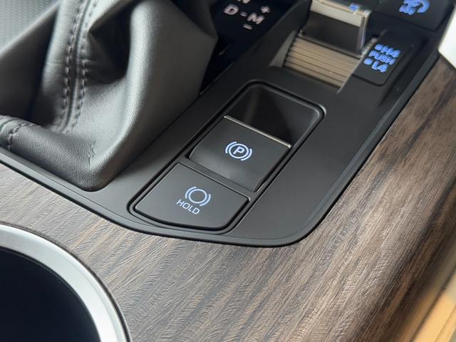 ランドクルーザー ＺＸ　【ディーゼル車】　　内装ベージュ　１２．３インチＪＢＬプレミアムサウンド　リアエンターテイメントシステム　クールボックス　電動デフロック　ルーフレールシルバー　寒冷地仕様　ＰＶＭ　ＢＳＭ　純正２０ＡＷ（59枚目）