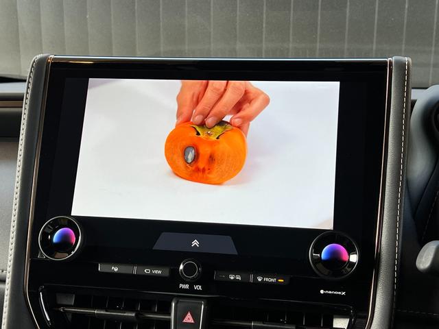 アルファード Z 【ユニバーサルステップ付】 14型コネクトナビ 左右独立ムーンルーフ デジタルミラー トヨタチームメイト パノラミックビューモニター ブラインドスポットモニター シートヒーター&クーラー 純正18AW(53枚目)