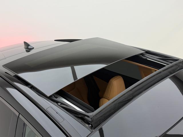 NX NX350h Fスポーツ 【内装ヘーゼル&ハイブリッド車】 14インチコネクトナビ パノラマルーフ デジタルインナーミラー オレンジキャリパー 寒冷地仕様 パノラミックビューモニター ブラインドスポットモニター 純正20AW(25枚目)