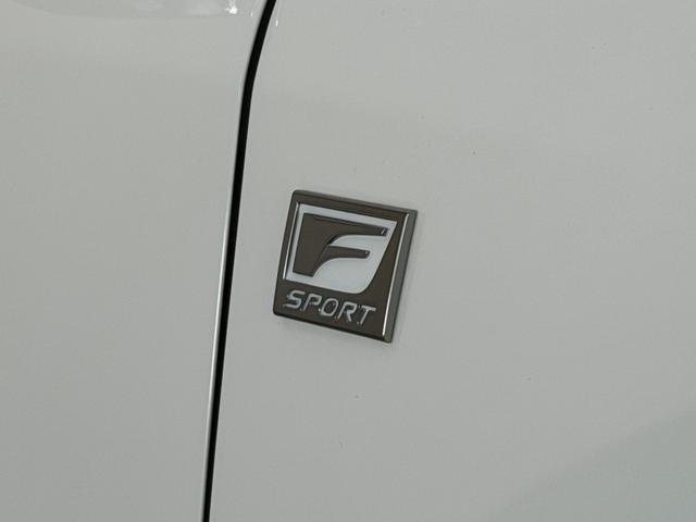 RX RX350 Fスポーツ 【改モデル】 内装レッド 14型コネクトナビ パノラマルーフ デジタルインナーミラー オレンジキャリパー 輻射ヒーター 置くだけ充電 シートメモリー PVM BSM チームメイト 純正21インチAW(35枚目)