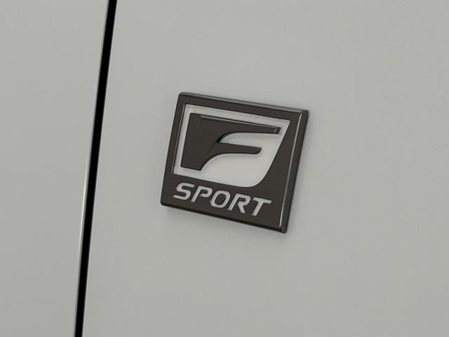 ＮＸ ＮＸ３５０ｈ　Ｆスポーツ　【内装レッド＆ハイブリッド車】　　１４型コネクトナビ　パノラマルーフ　デジタルインナーミラー　オレンジキャリパー　パノラミックビューモニター　ブラインドスポットモニター　パワーバックドア　純正２０ＡＷ（22枚目）