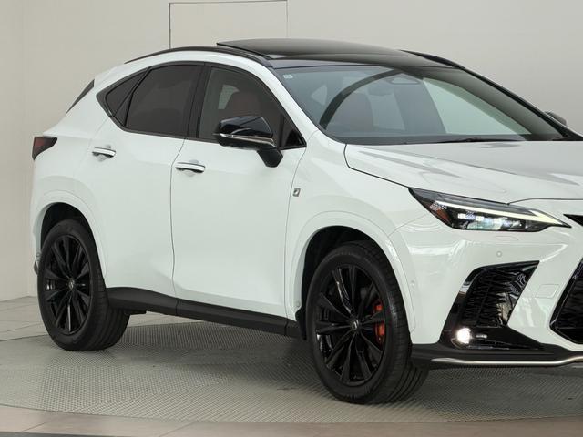 ＮＸ ＮＸ３５０ｈ　Ｆスポーツ　【内装レッド＆ハイブリッド車】　　１４型コネクトナビ　パノラマルーフ　デジタルインナーミラー　オレンジキャリパー　パノラミックビューモニター　ブラインドスポットモニター　パワーバックドア　純正２０ＡＷ（34枚目）