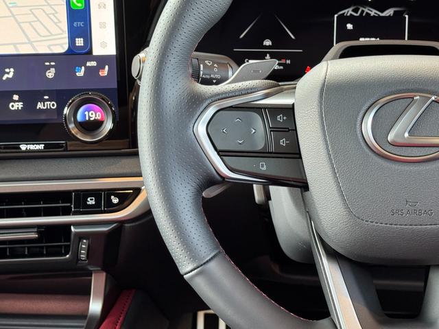 ＲＸ ＲＸ３５０　Ｆスポーツ　【改モデル】　内装レッド　　１４インチコネクトナビ　パノラマルーフ　デジタルインナーミラー　オレンジキャリパー　チームメイト　パノラミックビューモニター　ブラインドスポットモニター　純正２１インチＡＷ（45枚目）