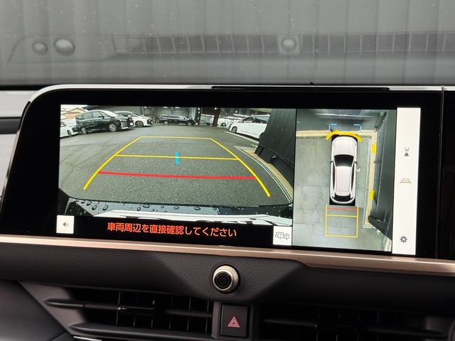 �p�m���~�b�N�r���[���j�^�[