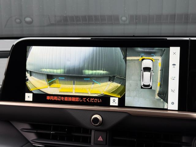 �p�m���~�b�N�r���[���j�^�[