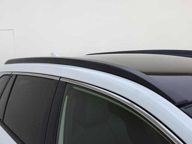 ���[�t���[��