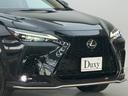 NX350h Fスポーツ 【内装ヘーゼル&ハイブリッド車】 14インチコネクトナビ パノラマルーフ デジタルインナーミラー オレンジキャリパー 寒冷地仕様 パノラミックビューモニター ブラインドスポットモニター 純正20AW(16枚目)