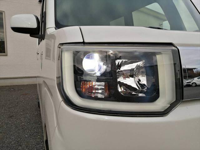 ���_�����w�b�h���C�g