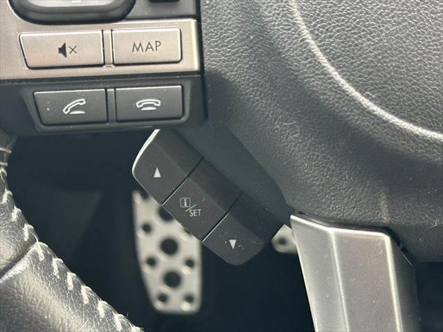 フォレスター Ｓ－リミテッド　４ＷＤ　アイサイト　禁煙車　純正ＳＤナビ　レーダークルーズコントロール　バックカメラ　本革シート　ＬＥＤヘッドライト　フルセグ　Ｂｌｕｅｔｏｏｔｈ　衝突軽減ブレーキ　ＥＴＣ　クリアランスソナー　ＢＳＭ（37枚目）