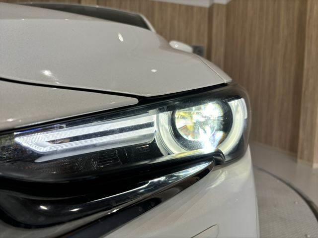 ＣＸ－８ ＸＤ　Ｌパッケージ　全周囲カメラ　純正ＳＤナビ　シートヒーター　パワーシート　ＥＴＣ　衝突軽減ブレーキ　フルセグＴＶ　Ｂｌｕｅｔｏｏｔｈ　本革シート　レーダークルーズコントロール　電動リアゲート　スマートキー（31枚目）