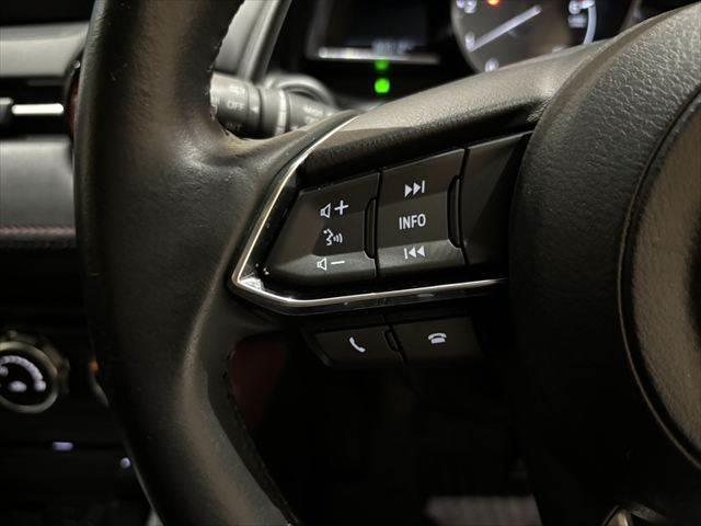 ＣＸ－３ ＸＤ　プロアクティブ　４ＷＤ　レーダークルーズコントロール　純正ＳＤナビ　バックカメラ　禁煙車　衝突軽減ブレーキ　ＥＴＣ　６速ＭＴ　ハーフレザー　ＬＥＤヘッドライト　スマートキー　オートライト　Ｂｌｕｅｔｏｏｔｈ（33枚目）