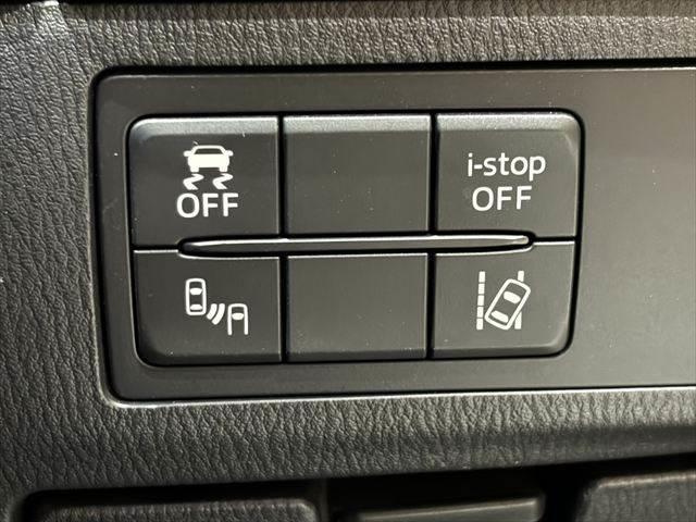 アテンザワゴン ＸＤ　プロアクティブ　純正ＳＤナビ　バックカメラ　ＥＴＣ　禁煙車　レーダークルーズコントロール　衝突軽減ブレーキ　フルセグ　Ｂｌｕｅｔｏｏｔｈ　ＬＥＤヘッドライト　ルーフレール　ブラインドスポットモニター　電動格納ミラー（7枚目）