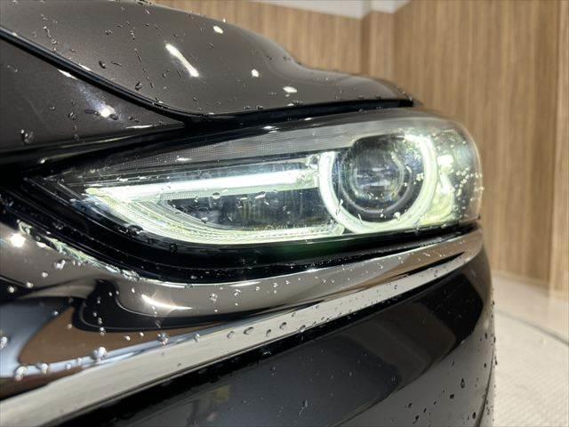 ☆ヘッドライト