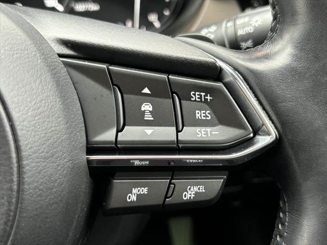 ☆レーダークルーズコントロール