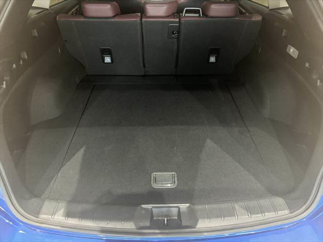 レヴォーグ STIスポーツ EX 純正11.6インチナビ 全周囲カメラ レーダークルーズコントロール 本革シート パワーシート 電動リアゲート フルセグTV Bluetooth 衝突軽減ブレーキ シートヒーター 禁煙車(9枚目)