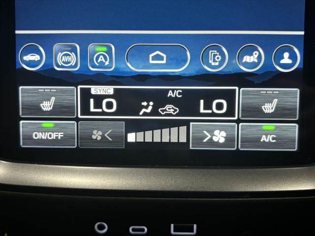 レヴォーグ STIスポーツ EX 純正11.6インチナビ 全周囲カメラ レーダークルーズコントロール 本革シート パワーシート 電動リアゲート フルセグTV Bluetooth 衝突軽減ブレーキ シートヒーター 禁煙車(38枚目)