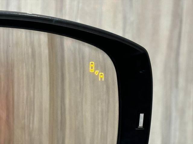 フォレスター S-リミテッド 4WD 純正SDナビ レーダークルーズコントロール Bluetooth フルセグTV 禁煙車 本革シート 電動リアゲート シートヒーター パワーシート LEDヘッドライト ブラインドスポットモニター(41枚目)