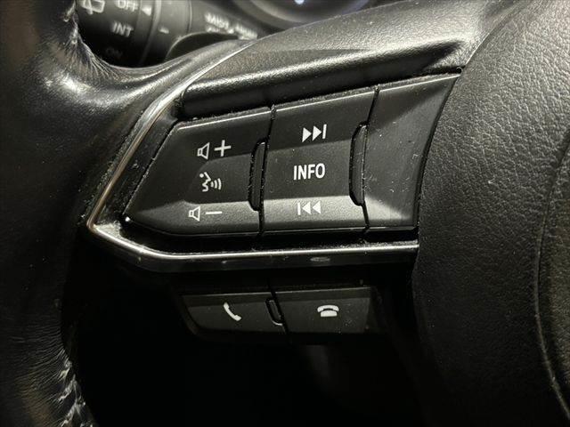 アテンザワゴン ＸＤ　プロアクティブ　ディーゼルターボ　アイアクティブセンス　純正ＳＤナビ　レーダークルーズコントロール　バックカメラ　シートヒーター　禁煙車　フルセグＴＶ　ブルートゥース　ＬＥＤヘッド　ＥＴＣ　ブラインドスポットモニター（41枚目）