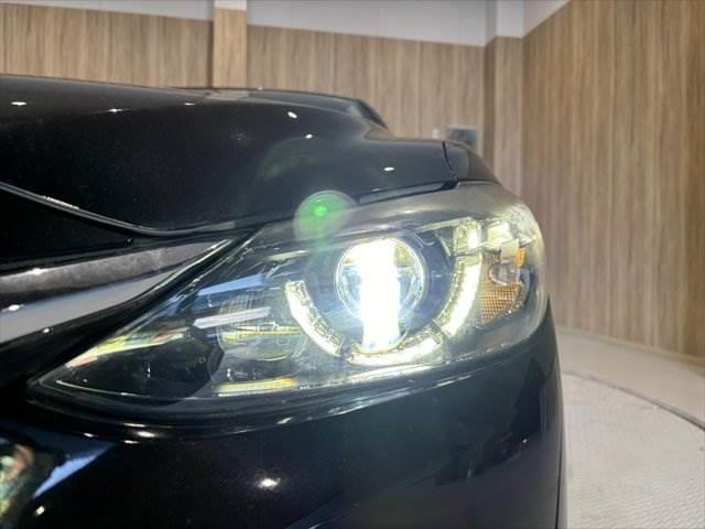 ���w�b�h���C�g�_����