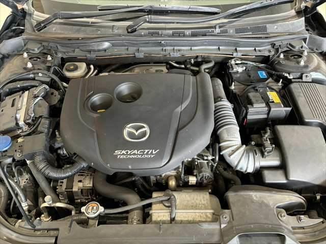 ���G���W�����[��