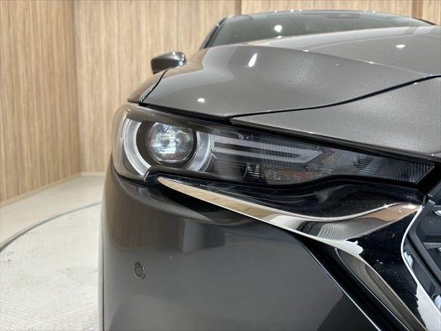 ＣＸ－８ ＸＤプロアクティブ　ディーゼルターボ　アイアクティブセンス　全方位カメラ　ステアリングヒーター　純正ＳＤナビ　レーダークルーズコントロール　禁煙車　ブルートゥース　フルセグ　ブラインドスポットモニターＬＥＤヘッドライト（22枚目）