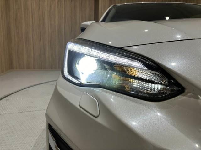 ���E�w�b�h���C�g�_����