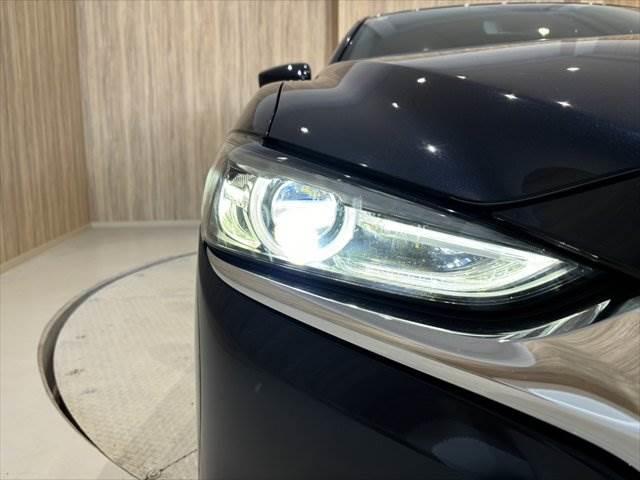 ���w�b�h���C�g�_����