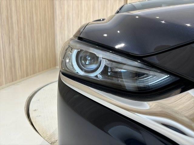 ���w�b�h���C�g