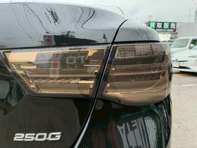 マークX 250G リラックスセレクション 禁煙車 弊社買取車両 ローダウン 20インチアルミホイール HIDヘッドライト 純正ナビ バックカメラ TV スマートキー プッシュスタート ETC パワーシート オートヘッドライト(65枚目)