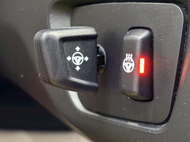 ７シリーズ ７５０Ｌｉ　ワンオーナー禁煙車　スカイラウンジパノラマサンルーフ　エグゼクティブラウンジシート　デザインピュアエクセレンスインテリア　デザインピュアエクセレンスＰＫＧ　オプション１５本スポーク２０インチＡＷ（47枚目）