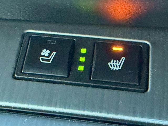 ＧＳ ＧＳ３５０　Ｆスポーツ　現状渡し　元ＳＨＯＷカー　禁煙車　コンプリートカー　エアサスキット　エアサスコントローラー　サンルーフ　三眼ＬＥＤヘッド　マークレビンソンサウンド　シートヒータークーラー　ＨＵＤ　レーダークルーズ（18枚目）