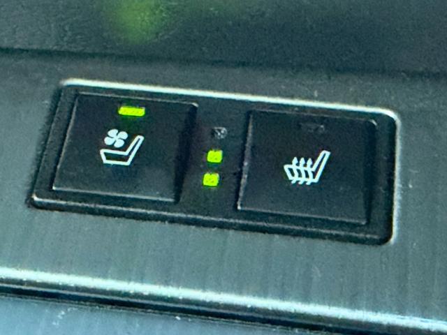 ＧＳ ＧＳ３５０　Ｆスポーツ　現状渡し　元ＳＨＯＷカー　禁煙車　コンプリートカー　エアサスキット　エアサスコントローラー　サンルーフ　三眼ＬＥＤヘッド　マークレビンソンサウンド　シートヒータークーラー　ＨＵＤ　レーダークルーズ（46枚目）