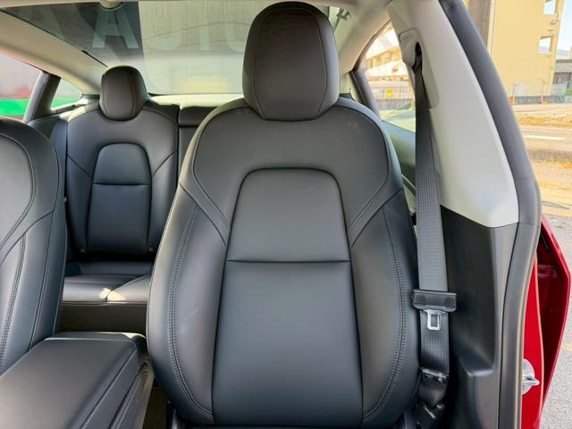 【助手席シート背もたれ】