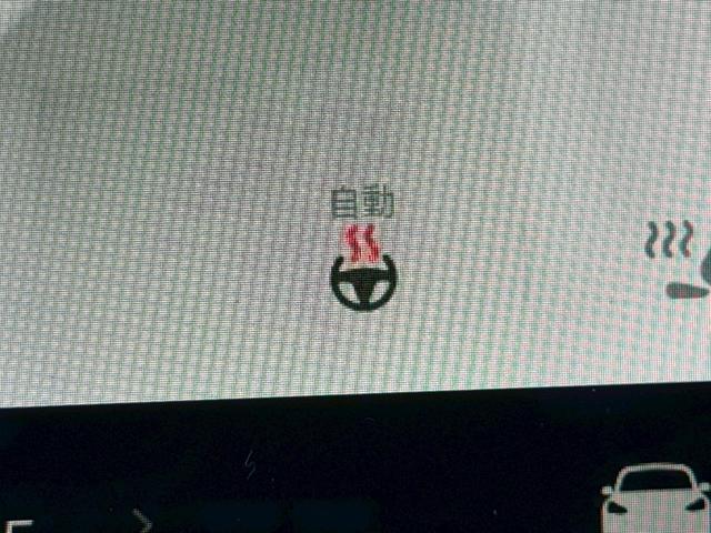 モデル３ ロングレンジ　ＡＷＤ　４ＷＤ　ワンオーナー　禁煙車　弊社買取車　満充電約５３０ｋｍ走行　上海モデル　ヒートポンプ　パワーバックドア　シートヒーター　ＬＥＤヘッドライト　１９インチＡＷ　パワーシート　黒ヴィーガンレザーシート（63枚目）