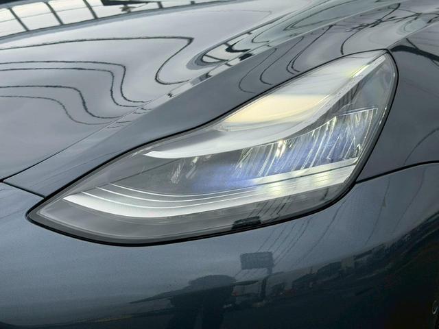 �k�d�c�w�b�h���C�g���ځB�铹�����邭�Ƃ炵�܂��B