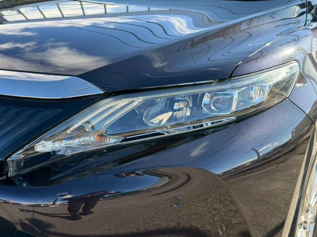 �k�d�c�w�b�h���C�g���ځB�铹�����邭�Ƃ炵�܂��B