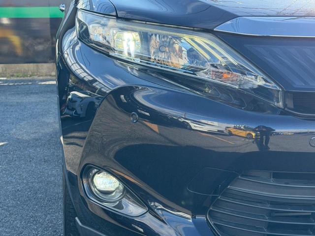 �k�d�c�w�b�h���C�g���ځB�铹�����邭�Ƃ炵�܂��B