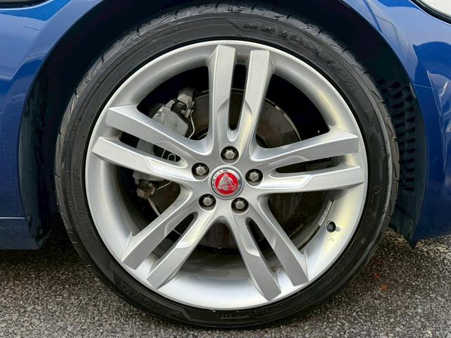 ���₢���킹�͂O�T�U�T�|�S�P�|�S�T�W�O�܂ŁB���k�C���A���k�A�֓��A�ߋE�A�����A��B�n���̂��q�l�ɂ��̔��n�j����